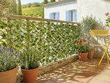 Treillis extensible feuillage osier en promo chez Gifi Treillis extensible feuillage osier dans le catalogue Gifi