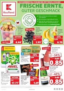 Kaufland Prospekt für Wustermark mit 42 Seiten Kaufland Prospekt für Wustermark: JETZT KRÄFTIG SPAREN!, 42 Seiten, 20.10.2021 - 27.10.2021