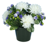 Pot chrysanthèmes et fleurettes à 9,99 € dans le catalogue Maxi Bazar