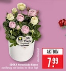 Herzstücke Rosen bei Marktkauf im Prospekt "" für 7,99 €
