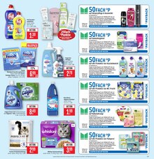 Kühlschrank im aktuellen Marktkauf Prospekt (Bietigheim-Bissingen) Kühlschrank im Marktkauf Prospekt "Aktuelle Angebote" mit 50 Seiten (Bietigheim-Bissingen)