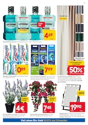Aktueller Rusta Prospekt mit Zimmerpflanzen, "Willkommen zu Hause in Schweden!", Seite 17