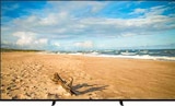 Bravia 8 im Angebot bei expert in Hille Bravia 8 Angebote von SONY bei expert Hille für 1.149,00 €