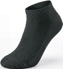 Sneakersocken im aktuellen Netto mit dem Scottie Prospekt
