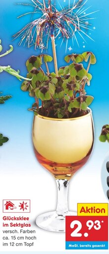 Glücksklee im Sektglas