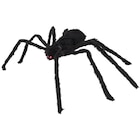 Araignée d'Halloween - Action dans le catalogue Action