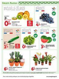 Prix et réduction Cache-Pot dans le prospectus Auchan Hypermarché en cours Offre Cache-Pot dans le catalogue Auchan Hypermarché du moment à la page 12