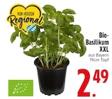 Bio-Basilikum XXL  im aktuellen EDEKA Prospekt für 2,49 €