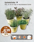 GartenkrĂ€uter im V-Markt Prospekt GartenkrĂ€uter von im aktuellen V-Markt Prospekt fĂŒr 6,99 âŹ