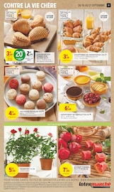 Plantes Angebote im Prospekt "LE TRÈS GROS ANNIVERSAIRE" von Intermarché auf Seite 17