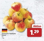 famila Nordwest Quakenbrück - Deutsche Tafeläpfel Elstar Angebot im Prospekt Deutsche Tafeläpfel Elstar bei famila Nordwest im Quakenbrück Prospekt für 1,29 €