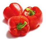 Paprika rot Angebote bei Netto mit dem Scottie Neumünster für 1,39 €