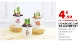 Promo Composition de jacinthe à 4,99 € dans le catalogue Super U à Perpignan