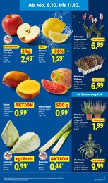 Zitronen Angebot im aktuellen Lidl Prospekt auf Seite 5