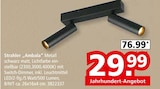 Beleuchtung im Segmüller Prospekt Strahler 'Ambala' im aktuellen Segmüller Prospekt für 29,99 €