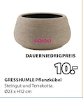 GRESSHUMLE Pflanzkübel von  im aktuellen JYSK Prospekt für 10,00 €