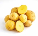 Netto mit dem Scottie Senftenberg - Speisekartoffeln mehlig Angebot im Prospekt Speisekartoffeln mehlig bei Netto mit dem Scottie im Senftenberg Prospekt für 1,99 €