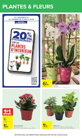 Promos Orchidée dans le catalogue "Carrefour" de Carrefour Orchidée en promo dans le catalogue Carrefour à la page 51