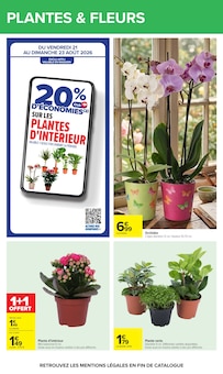 Promotion Terreau dans le prospectus Carrefour, valable du 17/08/2026 au 31/08/2026 Promo Terreau dans le catalogue Carrefour du moment à la page 51