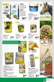 Aktueller BayWa Bau- und Gartenmärkte Prospekt mit Gartenhaus, "Prickelnder Genuss", Seite 5