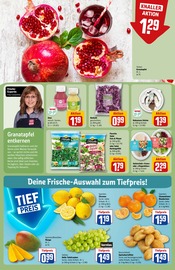 Ähnliche Datteln Angebote im Prospekt "Dein Markt" von REWE in Heidelberg Ähnliche Angebote wie Datteln im Prospekt "Dein Markt" auf Seite 8 von REWE in Heidelberg