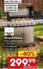Aktuelles Gasgrill Deluxe Angebot bei Netto Marken-Discount in Regensburg ab 299,99 €