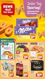 REWE Discounter Prospekt der aktuellen Woche mit 30 Seiten, gültig von 17.08.2026 bis 22.08.2026, in Falkenberg und Umgebung Aktueller REWE Discounter Prospekt in Falkenberg und Umgebung, "Dein Markt" mit 30 Seiten, 17.08.2026 - 22.08.2026