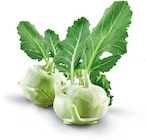 Kohlrabi im Angebot bei Netto Marken-Discount in Pirna Kohlrabi Angebote von HEIMAT bei Netto Marken-Discount Pirna für 0,55 €
