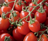 Tomaten bei toom Baumarkt im Plauen Prospekt für 1,29 €