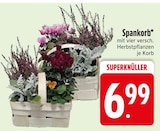 Spankorb Angebote bei EDEKA Passau für 6,99 €