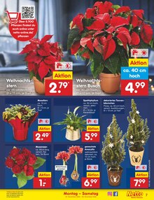 Weihnachtsbaum im Netto Marken-Discount Prospekt "Aktuelle Angebote" mit 54 Seiten (Minden)