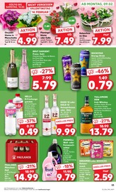 Aktueller Kaufland Prospekt mit Whiskas Katzennahrung, "Aktuelle Angebote", Seite 53