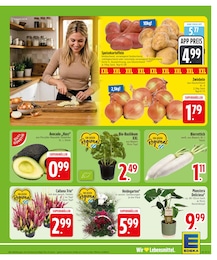 Zimmerpflanzen im EDEKA Prospekt Zimmerpflanzen im EDEKA Prospekt "Wir lieben Lebensmittel." auf Seite 5