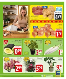 Pflanzen im aktuellen EDEKA Prospekt (München) Pflanzen im EDEKA Prospekt "Wir lieben Lebensmittel." mit 28 Seiten (München)