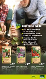 Gartenhaus Angebot im aktuellen Pflanzen Kölle Prospekt auf Seite 11