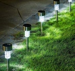 LED-Solarerdspieß „Picco“ bei Hagebaumarkt im Prospekt "" für 0,99 €