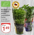 Bio Fischkräuter Angebote bei GLOBUS Erlangen für 1,49 €