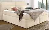 Aktuelles Boxspringbett Marie Angebot bei porta Möbel in Braunschweig ab 1.299,00 €