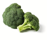 Lidl - Bio Brokkoli Angebot im Prospekt Bio Brokkoli bei Lidl im Prospekt "" für 1,49 €