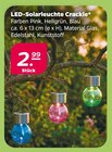LED-Solarleuchte Crackle im aktuellen Netto mit dem Scottie Prospekt