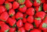 Fraises à Norma dans Bootzheim Fraises à Norma dans Bootzheim