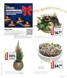 Adventskalender Angebot & Preis im aktuellen Moubis Pflanzenhof Prospekt Adventskalender Angebot im aktuellen Moubis Pflanzenhof Prospekt auf Seite 7