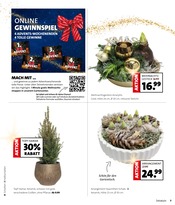 Adventskalender im Moubis Pflanzenhof Prospekt in Coesfeld Aktueller Moubis Pflanzenhof Prospekt mit Adventskalender, "WEIHNACHTS-KNALLER", Seite 7