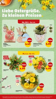 Blumentopf Angebot im Penny Prospekt, gültig von 30.03.2026 bis 05.04.2026 Blumentopf Angebot im aktuellen Penny Prospekt auf Seite 18