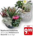 EDEKA - Bepflanzte Grabschale Angebot im Prospekt Bepflanzte Grabschale bei EDEKA im Prospekt "" für 9,99 €