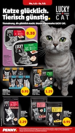 Katzenfutter im Penny Prospekt in Neunkirchen Aktueller Penny Prospekt mit Katzenfutter, "Wer günstig will, muss Penny.", Seite 20