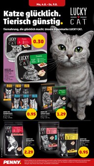 Katzenfutter im Penny Prospekt "Wer günstig will, muss Penny." mit 41 Seiten (Saarbrücken)
