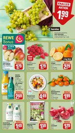 Tierfutter im REWE Prospekt in Norderstedt Aktueller REWE Prospekt mit Tierfutter, "Dein Markt", Seite 8