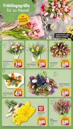 REWE Zwiebeln im Prospekt 