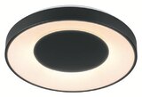 LED-Badleuchte von LIVARNO home für 12,99 € bei Lidl im Angebot LED-Badleuchte von LIVARNO home im aktuellen Lidl Prospekt